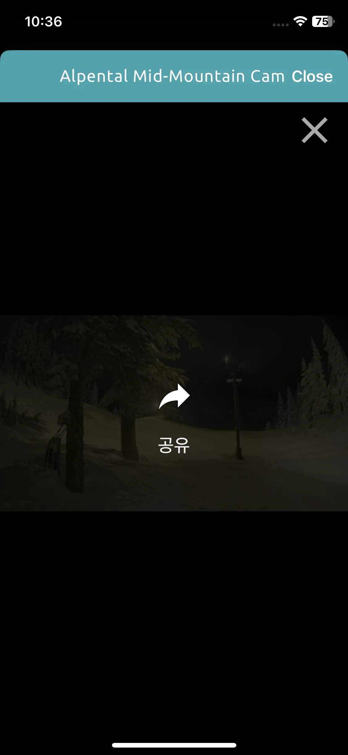 Test Image 3